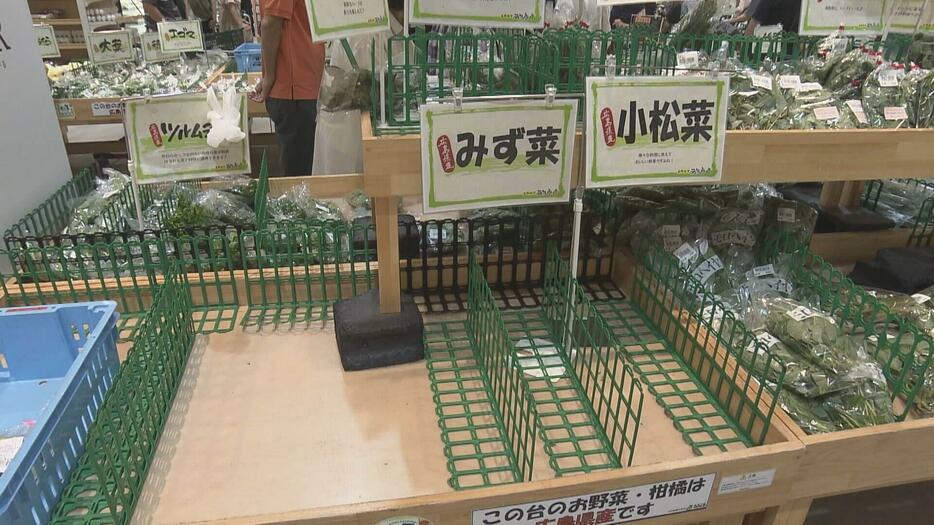 厳しい残暑「葉物の苗が溶けた」入荷ゼロも…広島