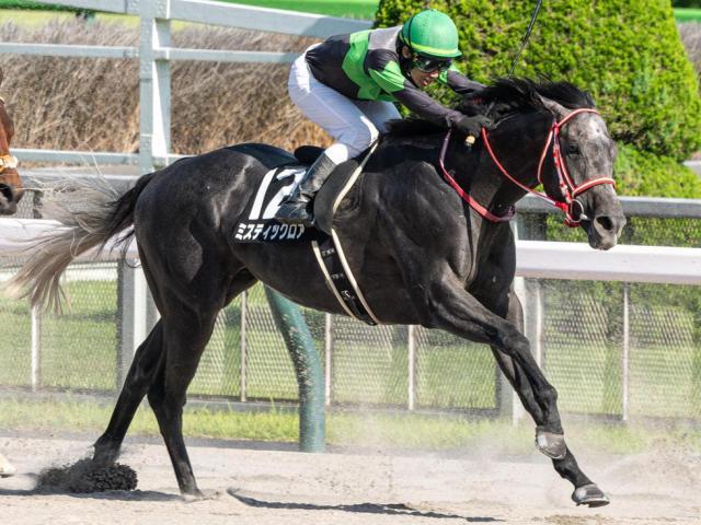 オープン初勝利を目指すミスティックロア(今年6月撮影、ユーザー提供：ブリッツさん)