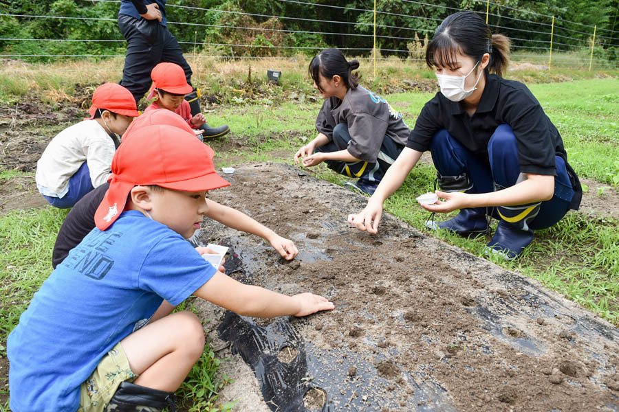 種をまいた畝に水をやる園児と学生