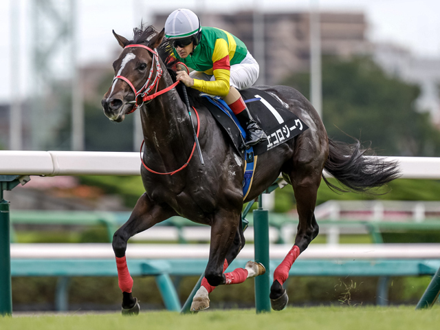 カンナSを制したエコロジーク(撮影：下野雄規)