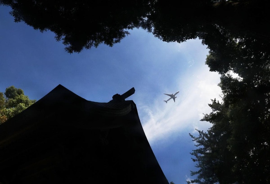 見上げると木々の間から一瞬、飛行機が見えた