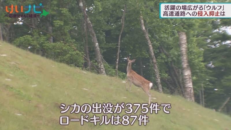 （写真：テレビ北海道）