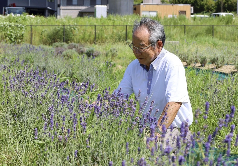 「紫香楽宮跡整備活用実行委員会」事務局長の金谷英三さん