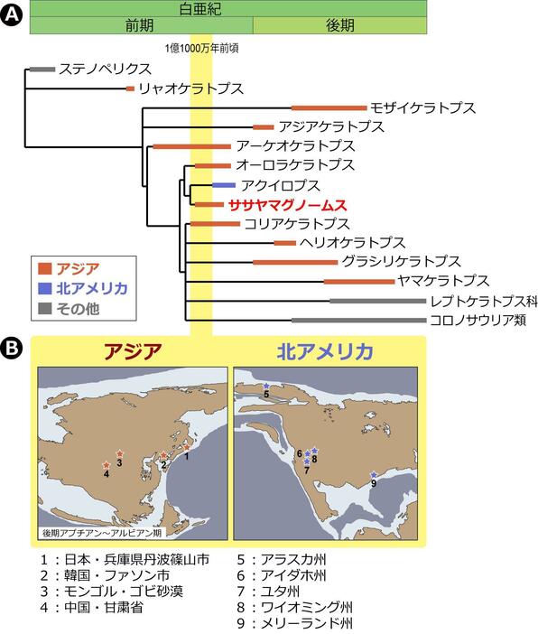 進化の道筋を描いた「系統樹」