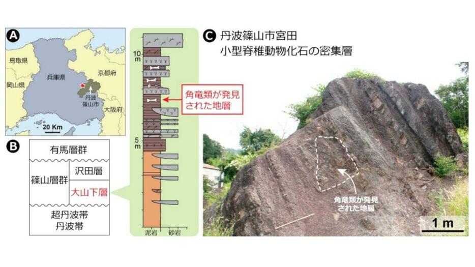 化石が見つかった現場　兵庫・丹波篠山市