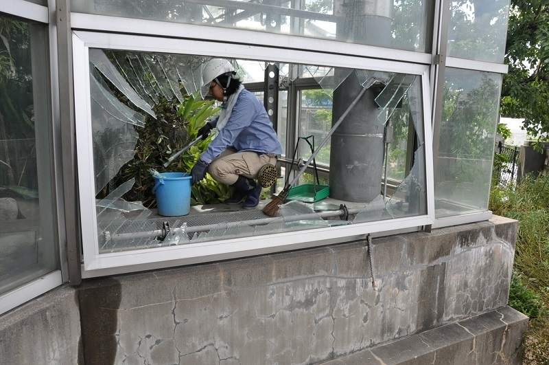 [写真]咲くやこの花館はガラスが破損したものの、応急修理をして開館=5日、大阪市鶴見区で（撮影：岡村雅之）
