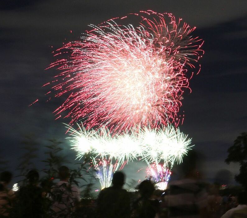 [写真]風に流されながらも色鮮やかな大輪が夜空を焦がした=28日午後7時50分ごろ、大阪府守口市で（約15秒露光）