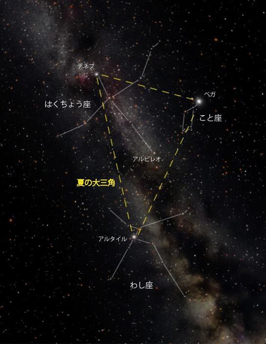 夏の大三角（こと座、わし座、はくちょう座）の中に天の川を見つけましょう（写真提供：葛飾区郷土と天文の博物館）