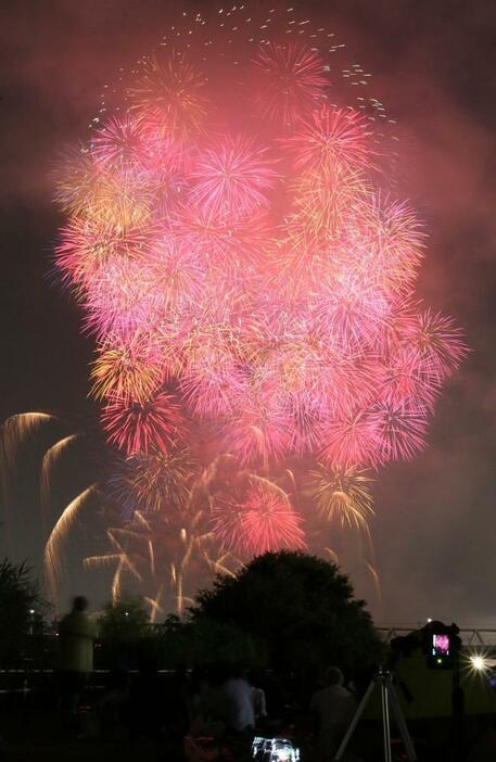 [写真]ひっきりなしに打ち上げられる花火に大歓声が=6日午後8時5分ごろ、大阪市内で（約10秒露光）