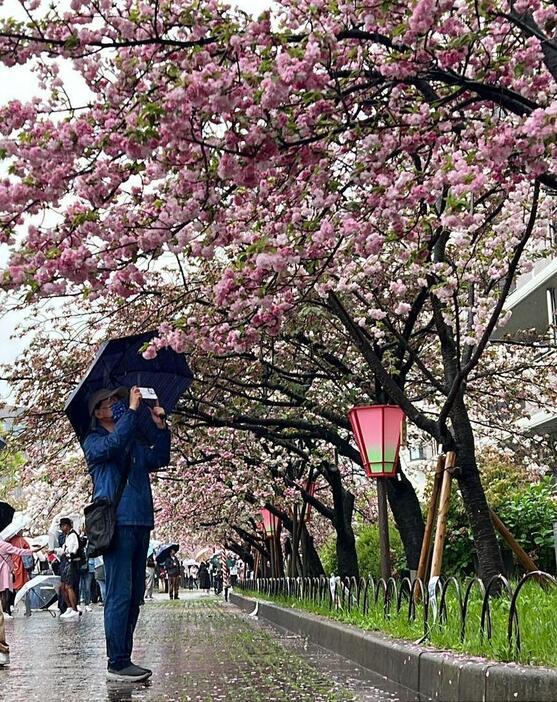 あいにくの雨模様の中のスタートとなった＝7日午前10時ごろ、大阪市北区で