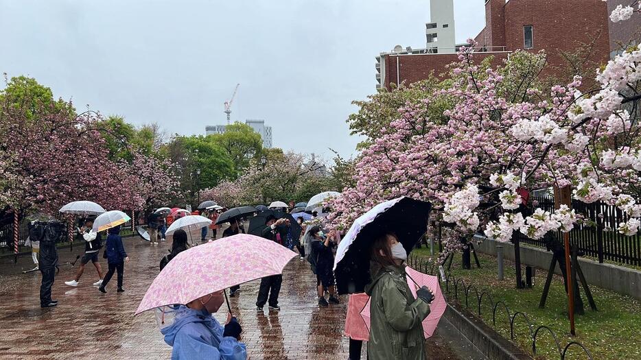 もうすぐ通り抜ける地点で＝7日午前10時半ごろ、大阪市北区で