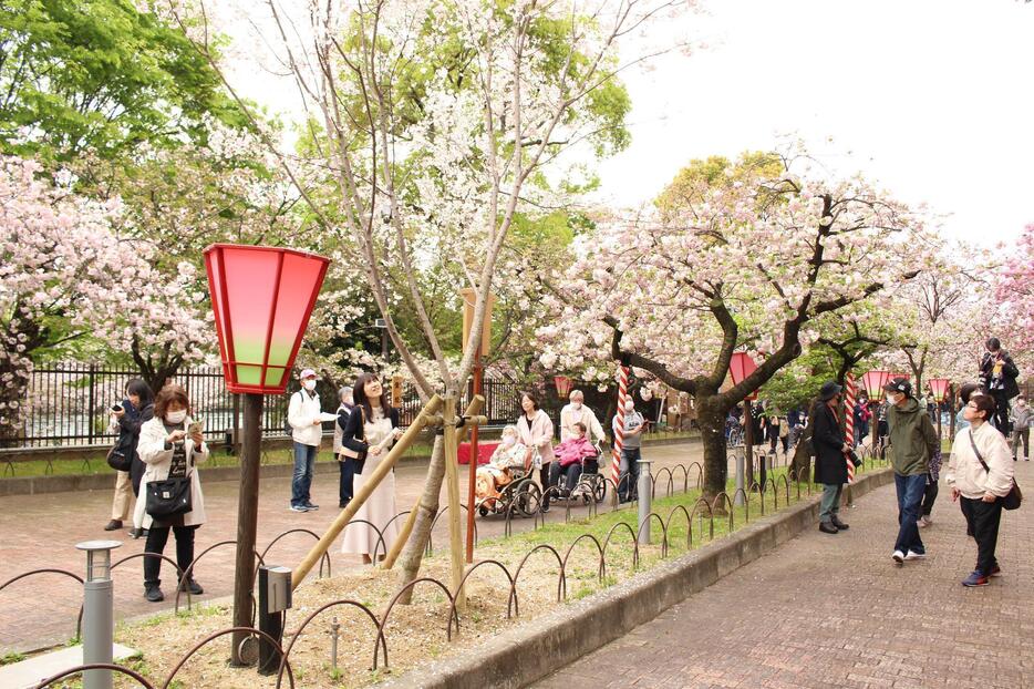 桜の花を楽しむ人々