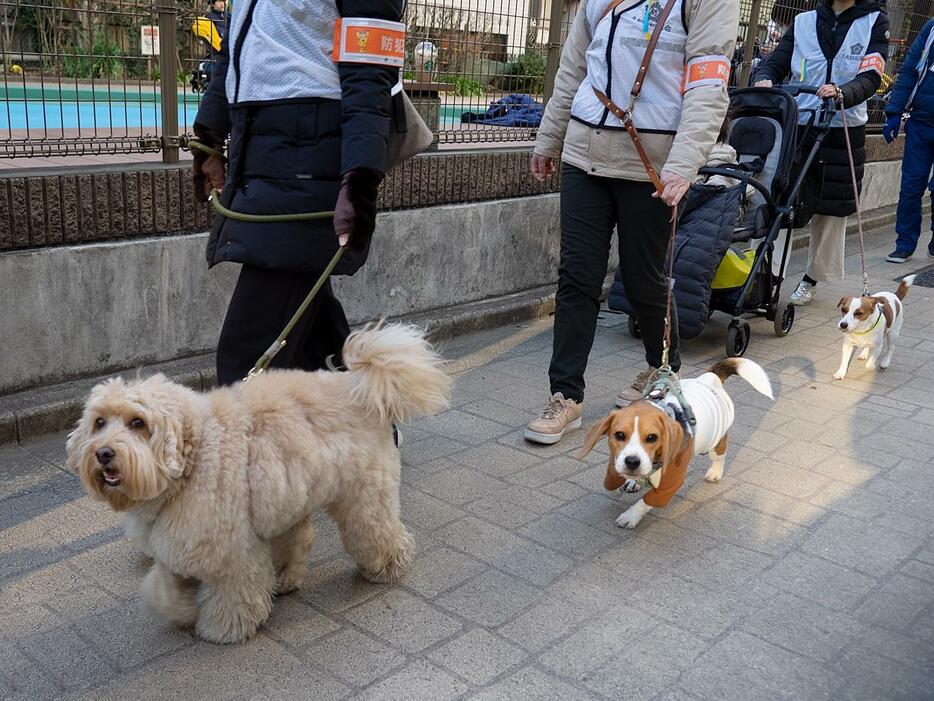 （撮影：志和浩司）