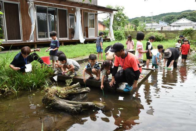 南九州大生のアドバイスを受けながら、水の中の生き物を探す園児たち