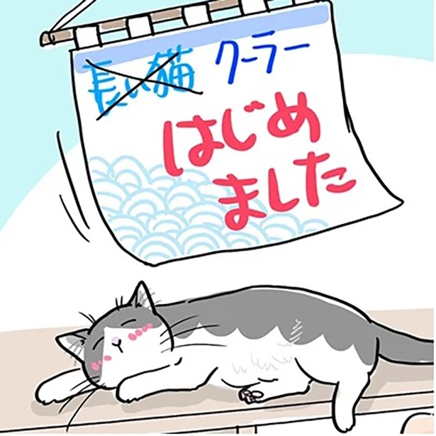 「長い猫はじめました!?」藤緒家で暑くなると見られる珍景って？