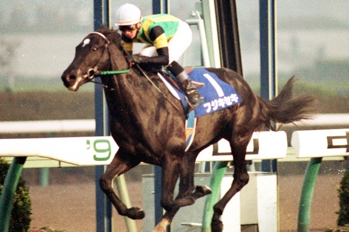 94年朝日杯3歳Sの覇者で、種牡馬としても多くの名馬を送り出したフジキセキ。写真：産経新聞社