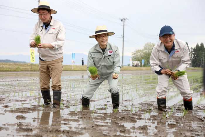 田植えする深井雅裕常務(写真中央)