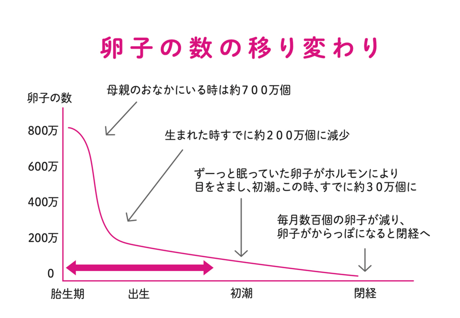 はじめてでもよくわかる 知っておきたい妊娠と出産安心BOOK