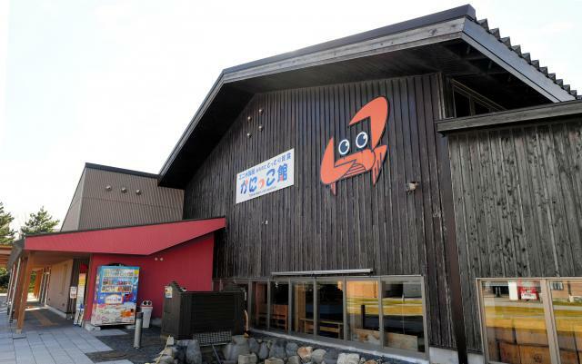 鳥取市にあるミニ水族館「とっとり賀露かにっこ館」＝朝日新聞社