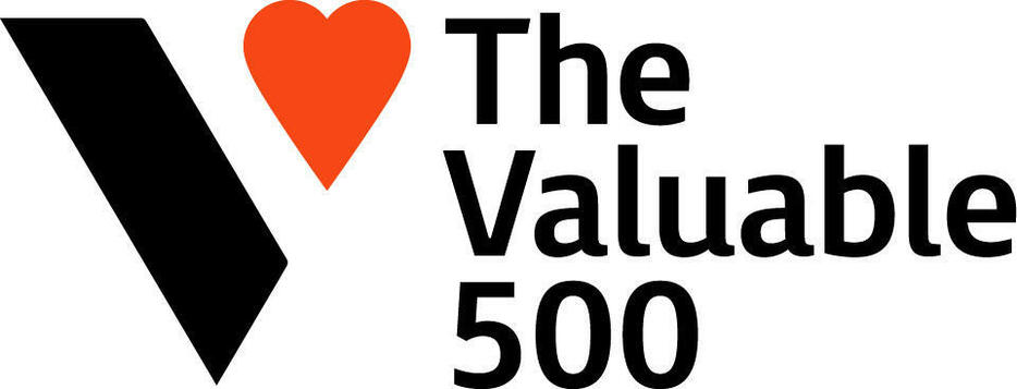 インクルージョンな社会を目指す国際組織「V500」