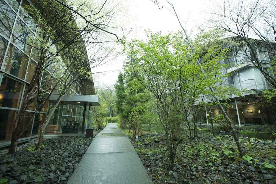 向かって左はレセプション＆ウッドサイドダイニング棟、右奥は1階にカフェラウンジを据えた宿泊施設C棟。敷地内には、6棟が点在する。　PHOTOGRAPH BY YUKO CHIBA