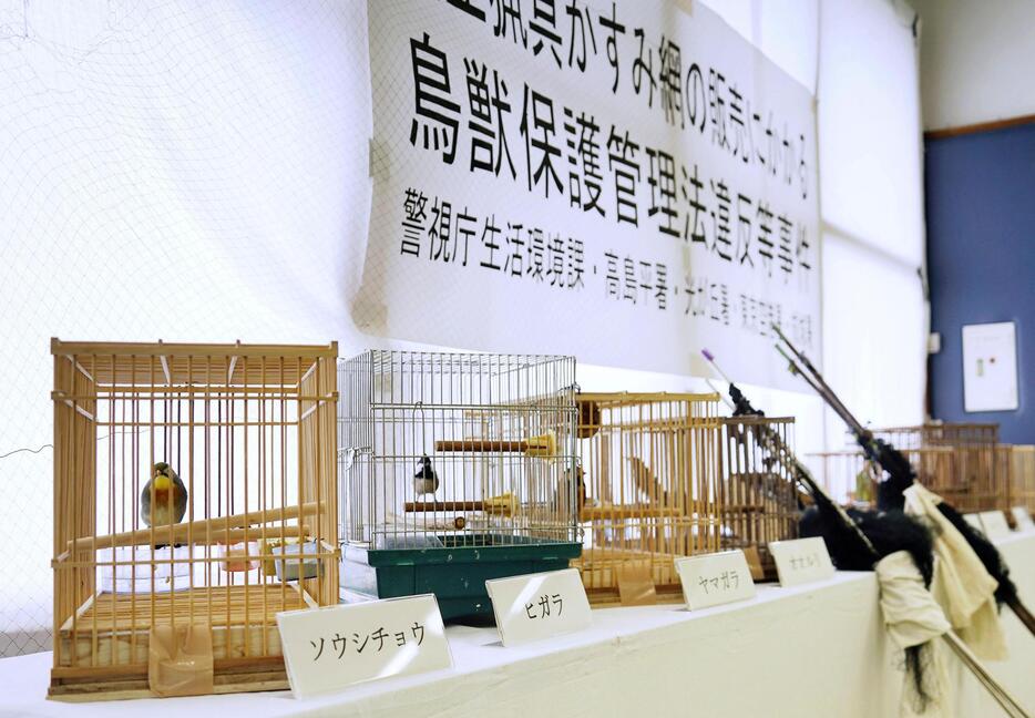 警視庁が押収した違法に捕獲された野鳥など＝26日午前、警視庁高島平署