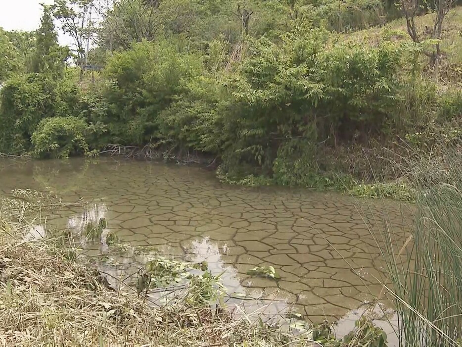 水位低下が確認された池 岐阜県瑞浪市