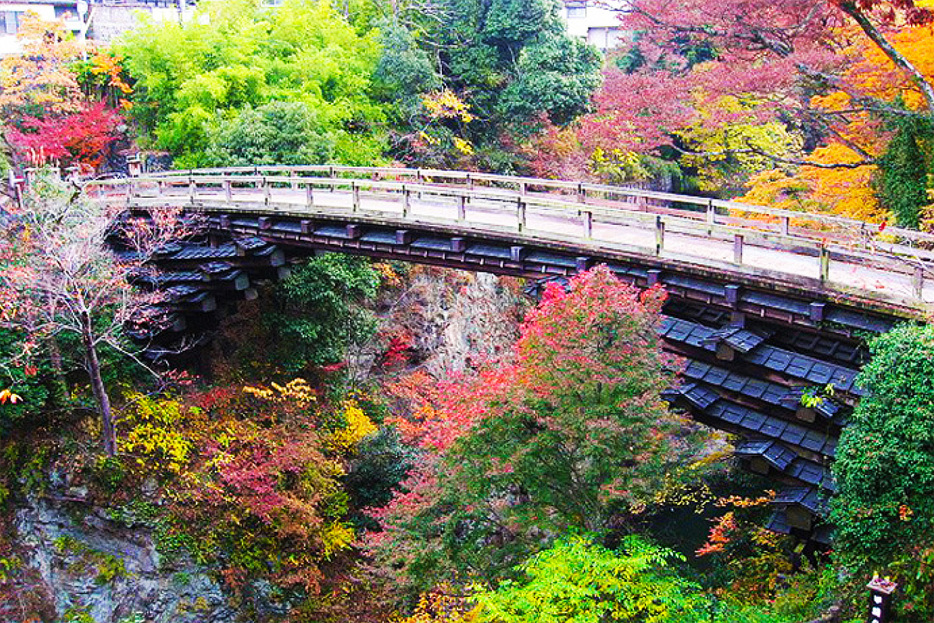 眼下を流れる紅葉とのコントラストが美しい猿橋