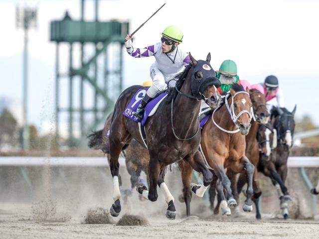 ペプチドナイルが勝利で波乱になったフェブラリーS(撮影：下野雄規)