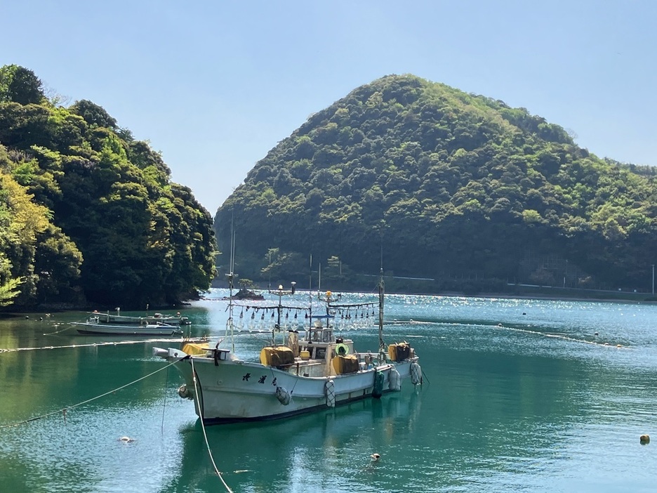 イカ釣りの漁船が揺れるのどかな伊根の海