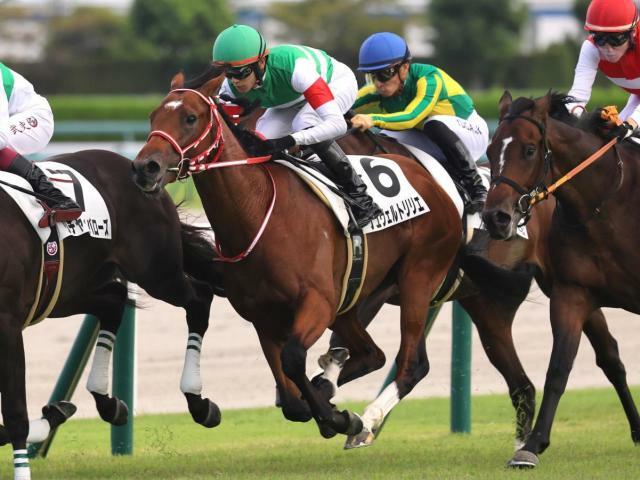 待望の初勝利を目指すシュヴェルトリリエ(昨年9月撮影、ユーザー提供：モーリスさいつよさん)