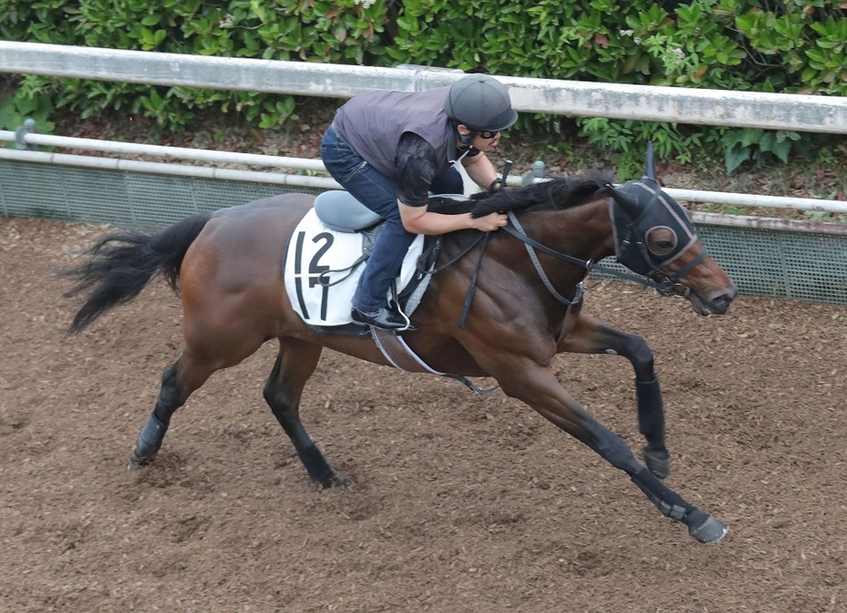 愛知杯でも8番人気2着と激走したタガノパッション