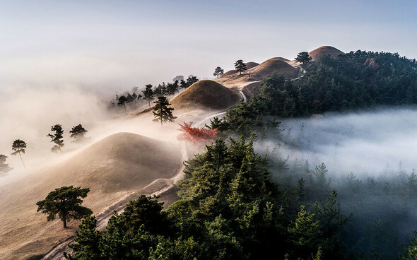朝霧が漂う高霊郡池山洞の古墳群の風景を撮った写真=高霊郡提供