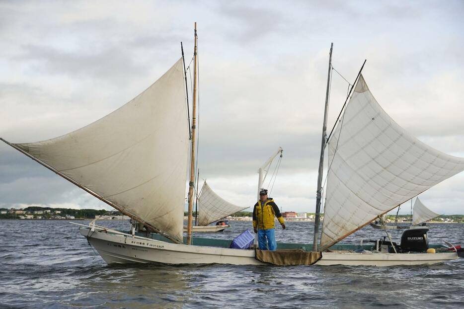白い帆を張り、ホッカイエビ漁をする打瀬船＝26日午前、北海道別海町