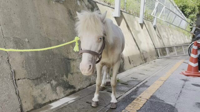 沖縄テレビ