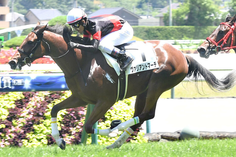 夏の福島の新馬勝ち第一号となったヴァリアントマーチ