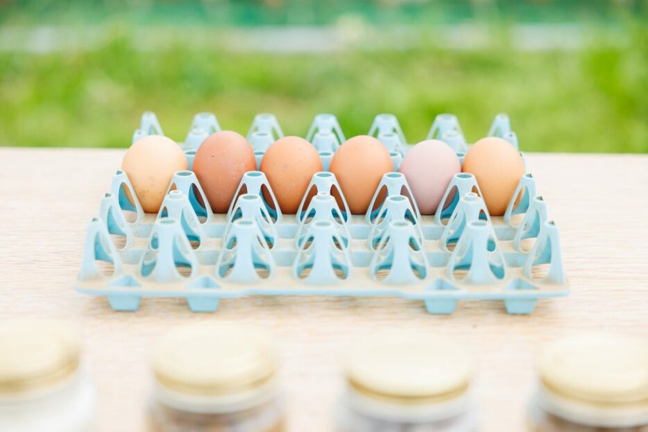 松村さんが用意してくれた卵は、色も大きさもかなり違う。「鶏が好んで食べる餌の種類により、このような違いが出ます」。広々とした場所で、ストレスをかけない育て方をしているからこそ