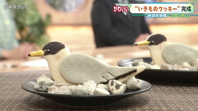 完成したクッキーが中京テレビ「キャッチ！」スタジオに登場