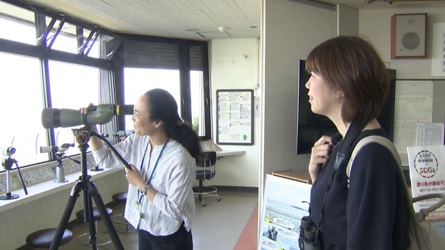 『名古屋市野鳥観察館』へ