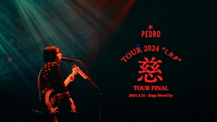 PEDROのライブ映像より。