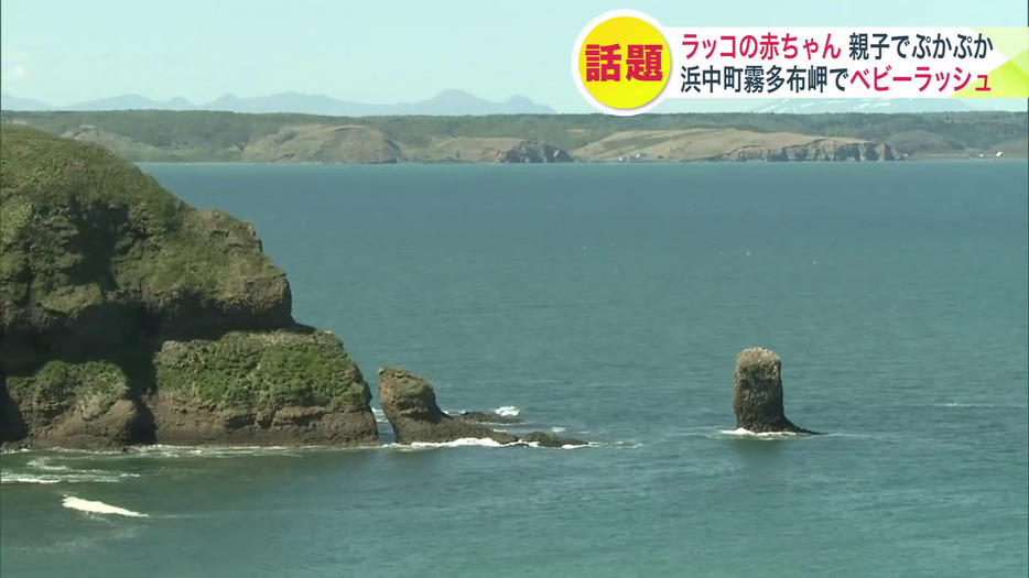 浜中町の霧多布岬