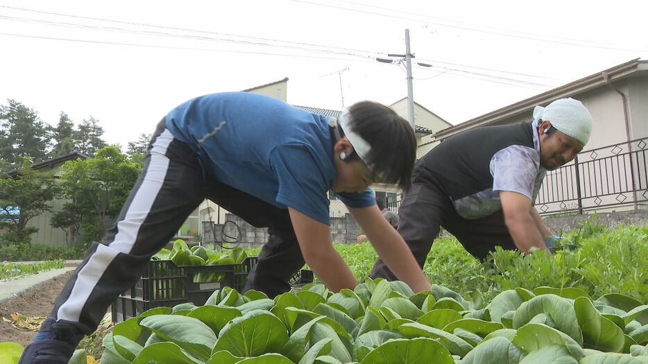 親子は「師弟」であり「ライバル」