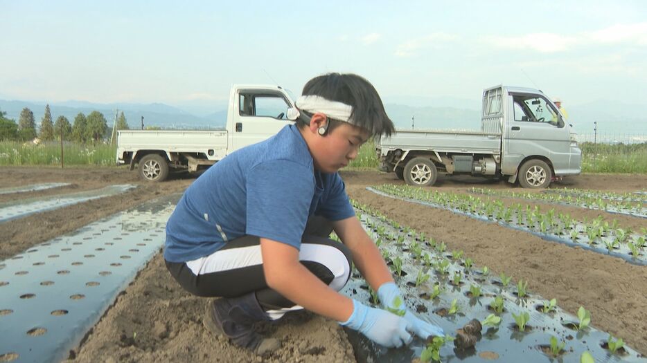 帰宅後も農作業