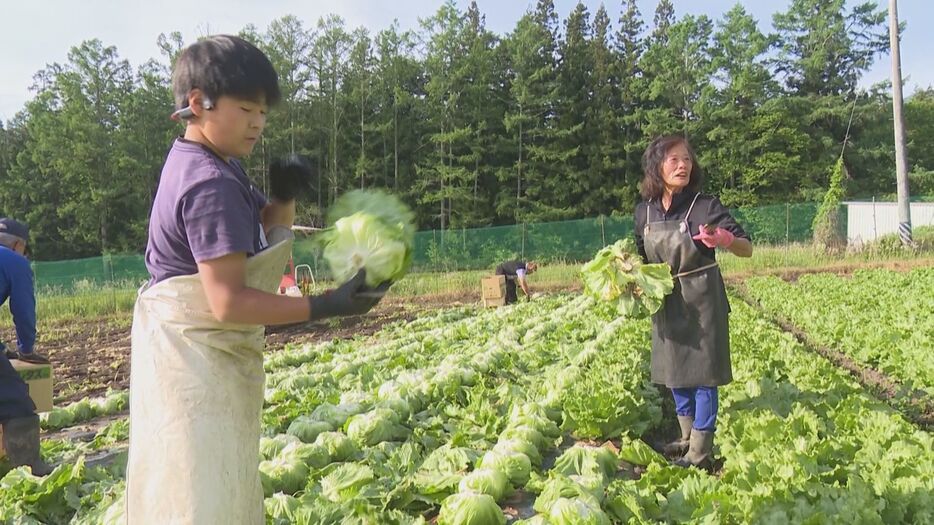 祖母・園恵さんと永遠さん