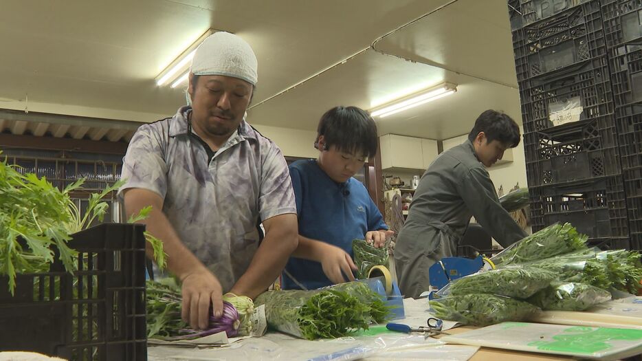 翌日出荷する野菜の袋詰め