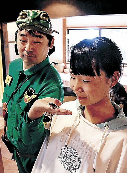 黒いアマガエルを確認する米島さん（右）と髙地さん＝金沢市内