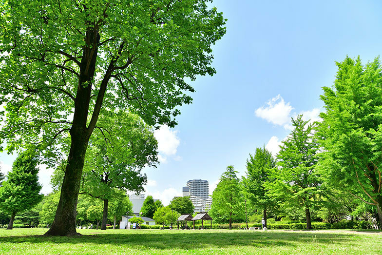 都立武蔵国分寺公園（写真／PIXTA）