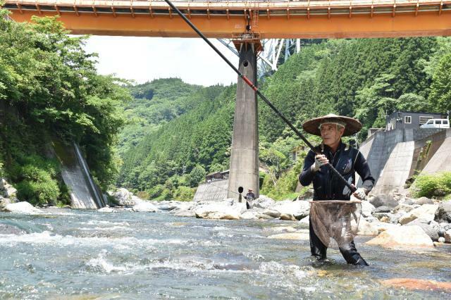 アユ漁解禁に合わせ、友釣りを楽しむ愛好家＝１日午後、日之影町・日之影川