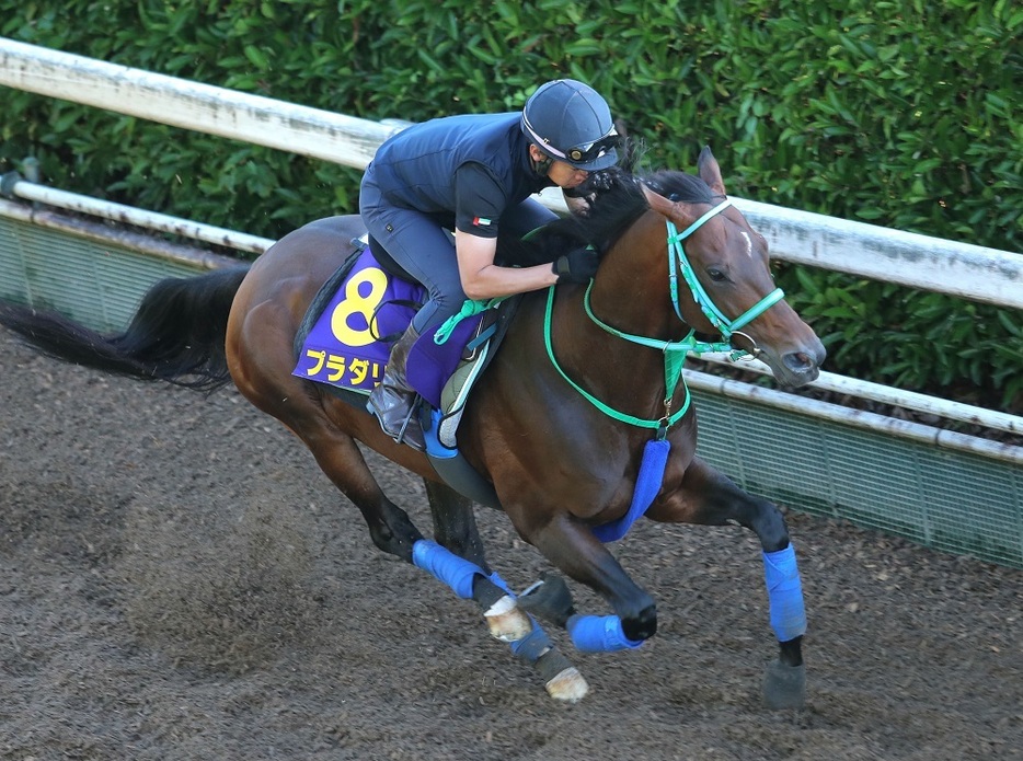 重馬場で行われた昨年の京都大賞典Vなど、今回の条件には“打ってつけ”のプラダリア