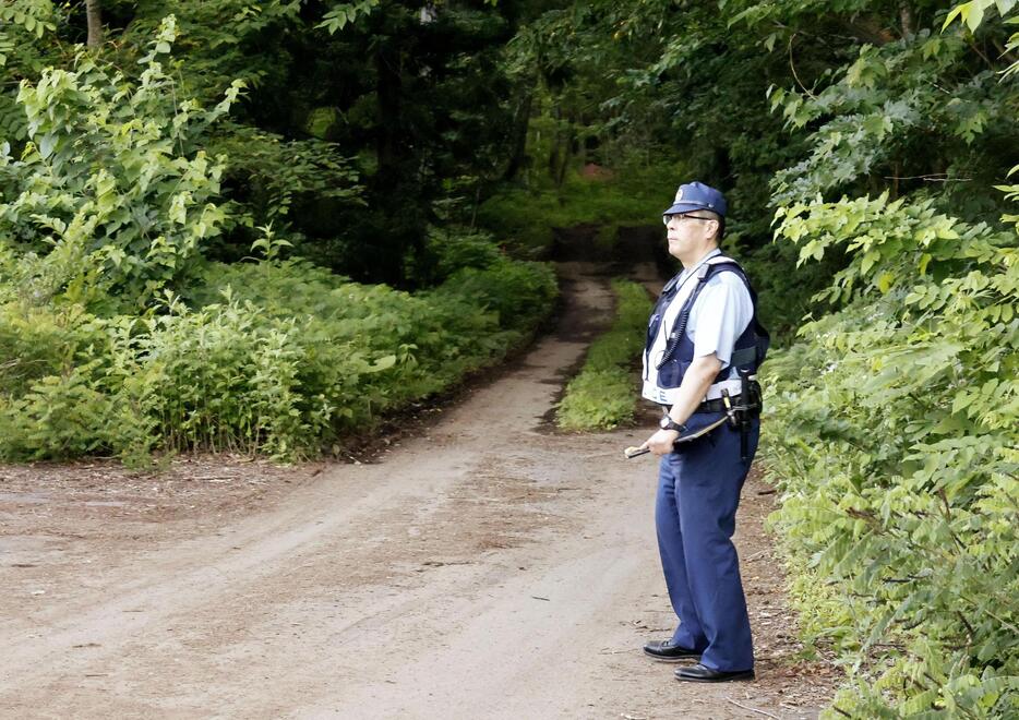 男性が倒れていた現場付近の山林＝21日午後、長野県信濃町